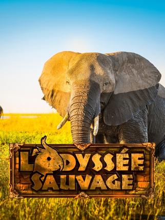 L&rsquo;odyssée sauvage